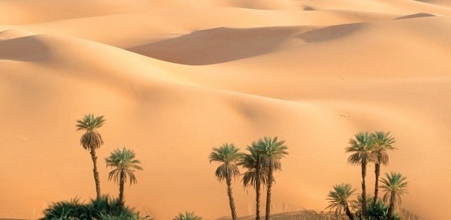 تعبيرية