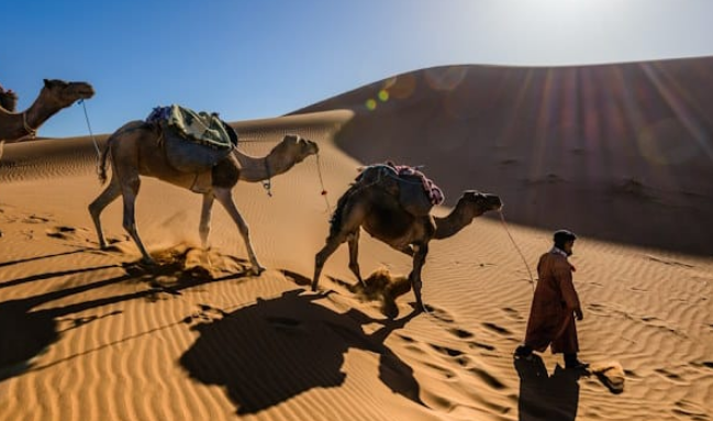 الجمل